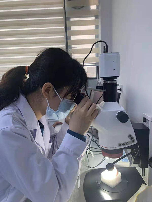 实验室 7-8 有人 的 照片 二 选 一 或者 都 放 , 排子 情况 实验室 7-8 有人 的 照片 二 选 一 或者 都 放 , 排子 情况